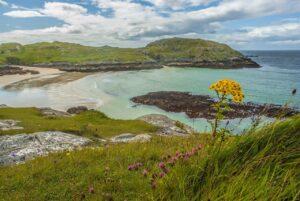 The fascinating world of machair